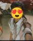 View Gay Profile Picture